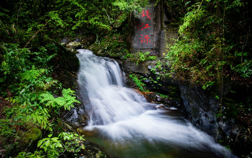 這，就是錢江源-百山祖國家公園候選區(qū)錢江源園區(qū)