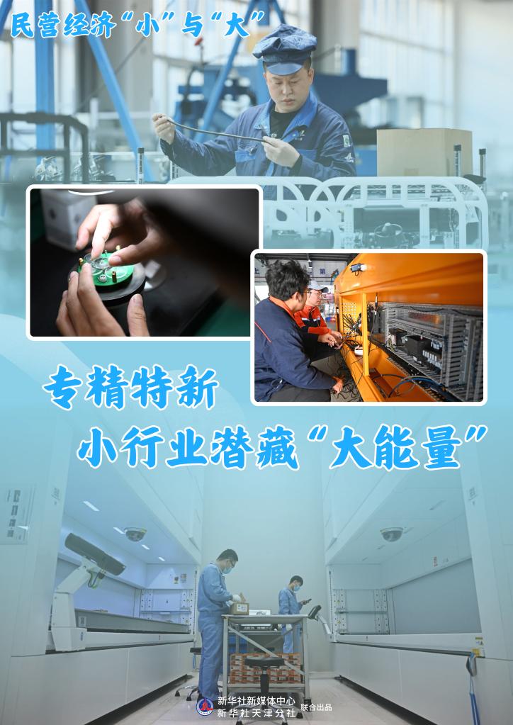 民營(yíng)經(jīng)濟(jì)“小”與“大”｜專精特新，小行業(yè)潛藏“大能量”
