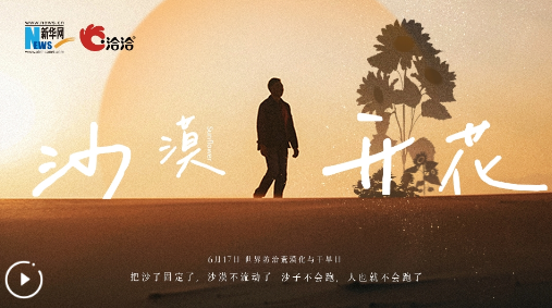 洽洽×新華網(wǎng) 沙漠開花公益宣傳片，6.17世界防治荒漠化與干