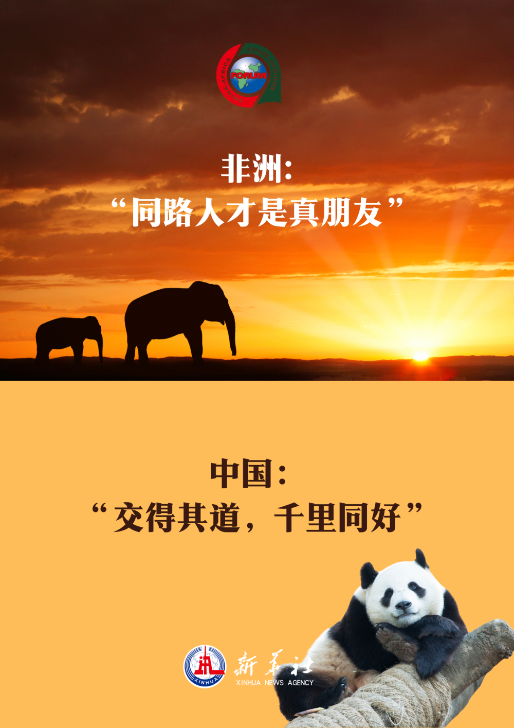 習(xí)近平用典｜中非那些相融相通的諺語典故
