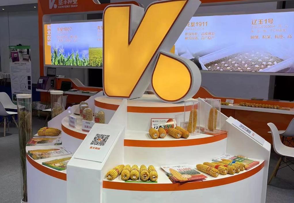新華全媒 ｜不斷推動我國種業(yè)高質(zhì)量發(fā)展——從2024中國種子大會看種業(yè)振興新…