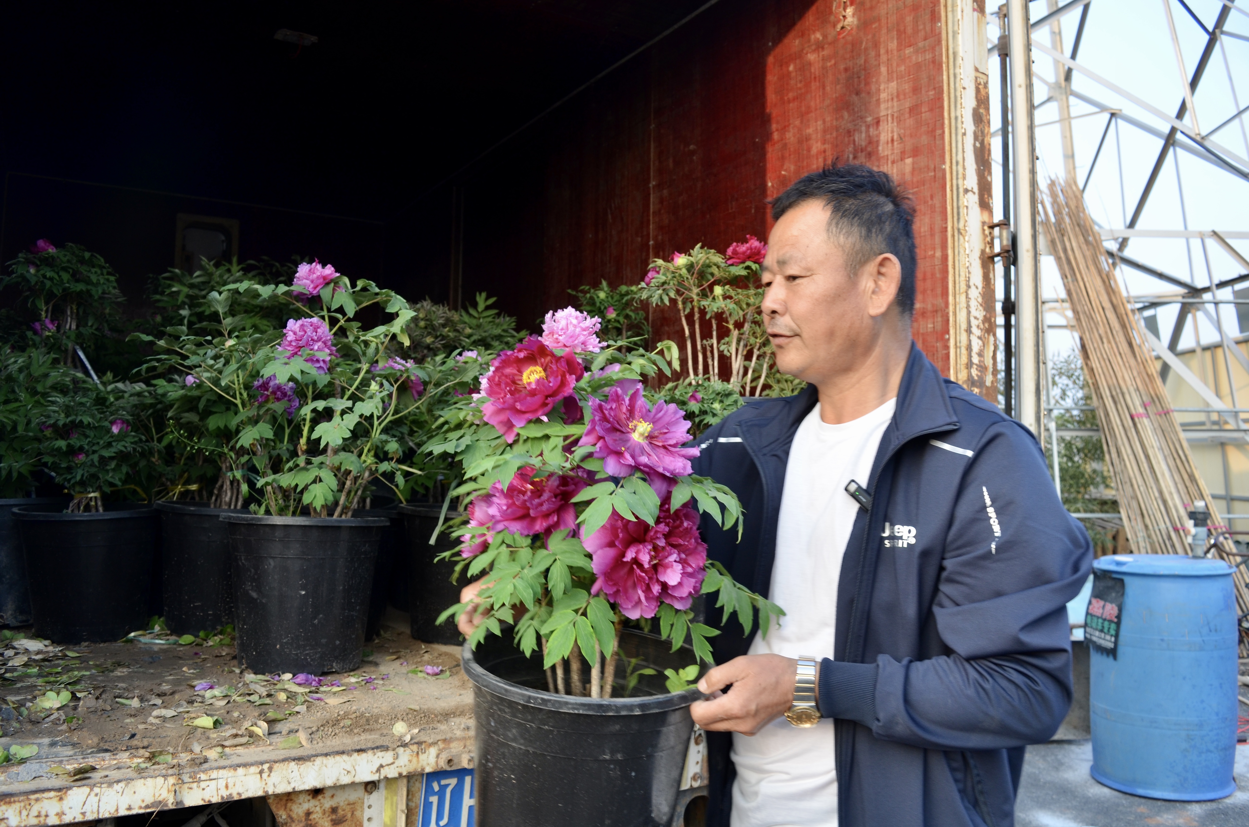 返鄉(xiāng)育牡丹 致富新“花”樣