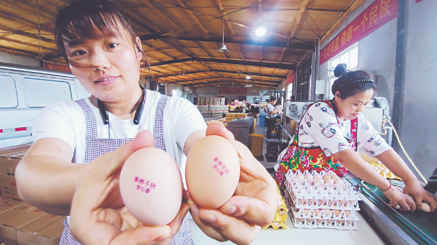 區(qū)域公用品牌賦能 授權(quán)企業(yè)全面發(fā)展