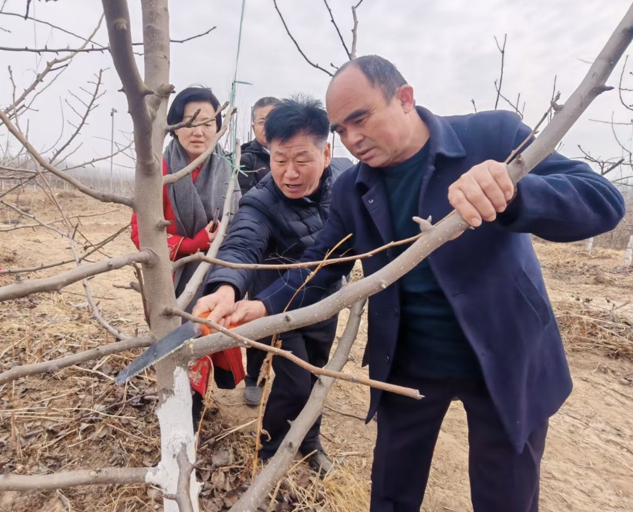 科技送下鄉(xiāng) 豐收有保障
