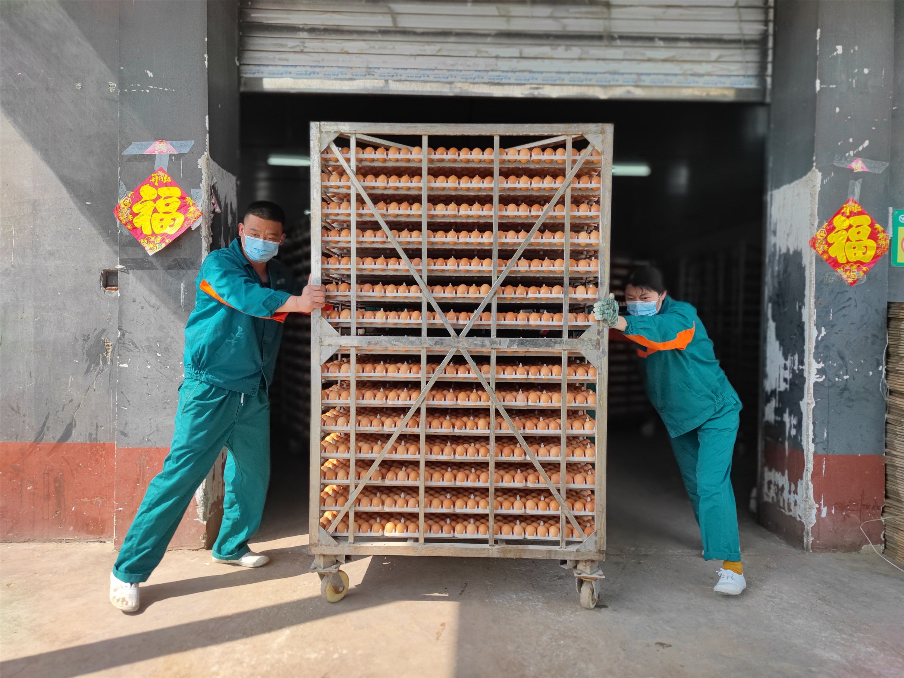 鮮雞蛋產(chǎn)銷兩旺