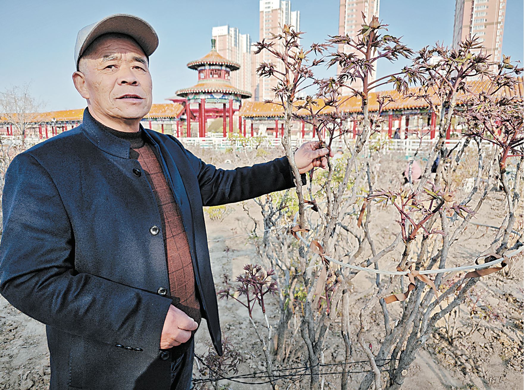 打造“牡丹盛宴”迎賓朋