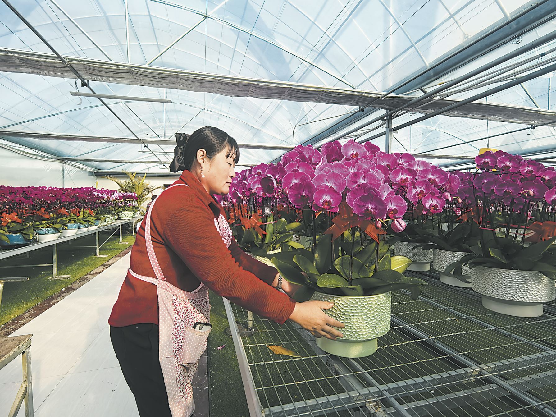 數(shù)智化催開(kāi)“四季花海”