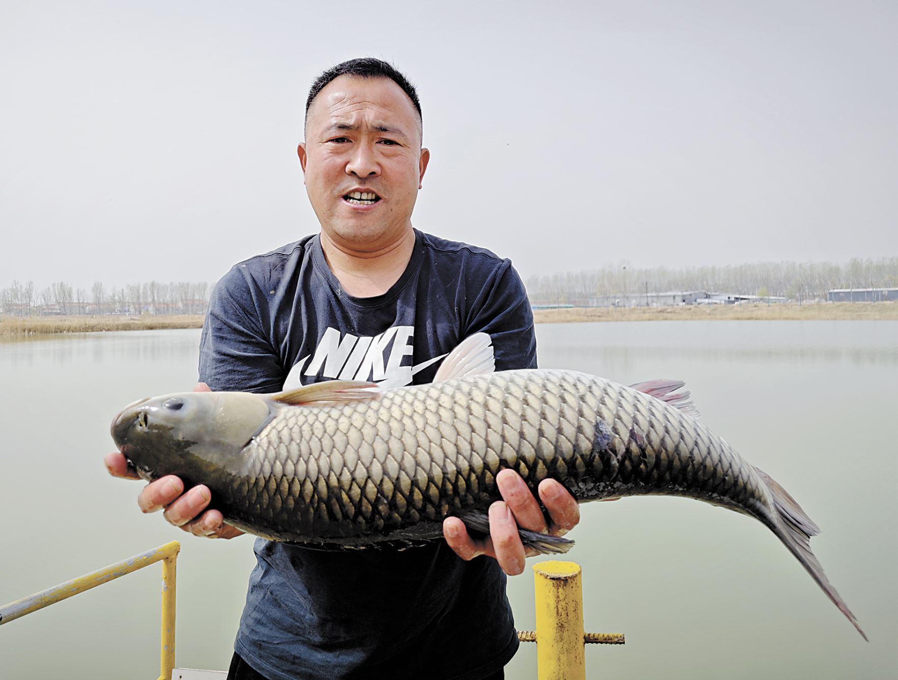 黃河灘養(yǎng)出“跑步魚”