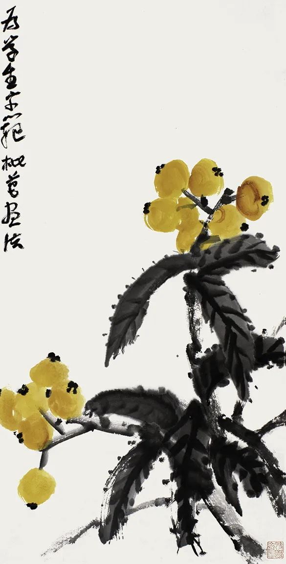 為學生示范枇杷畫法（課稿）