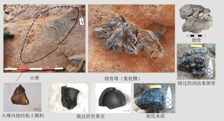 濛溪河遺址群填補東亞現(xiàn)代人起源演化空白_新聞頻道