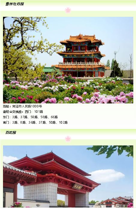 暢游花海 省心省時(shí)省錢的乘公交賞牡丹指南來(lái)啦