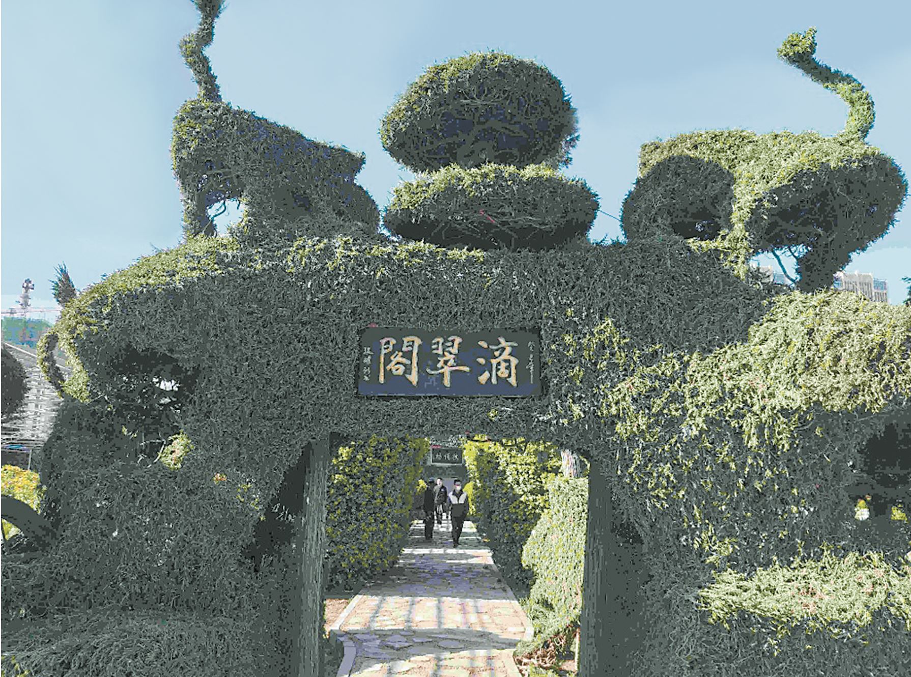 古今園松編傳承百年園林文化
