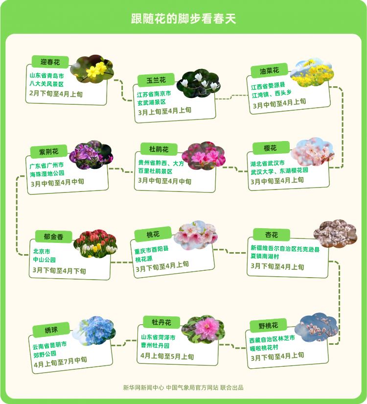 點(diǎn)亮全國(guó)春季賞花地圖，2025年菏澤牡丹觀賞最全攻略來(lái)了！