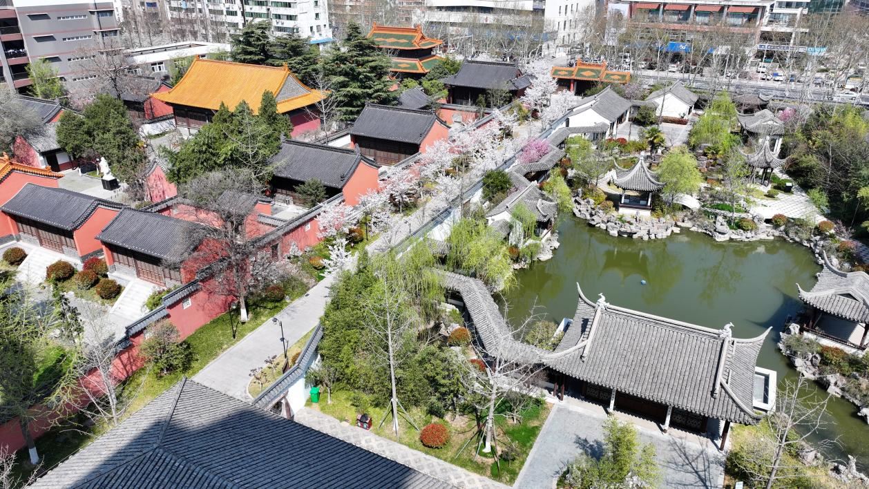 文化中國行｜春花古建兩相宜·書聲瑯瑯處，百年孔廟展芳華_新聞頻道