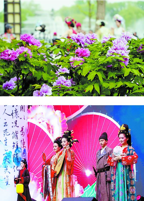 牡丹聯(lián)通世界  漢服賦能振興