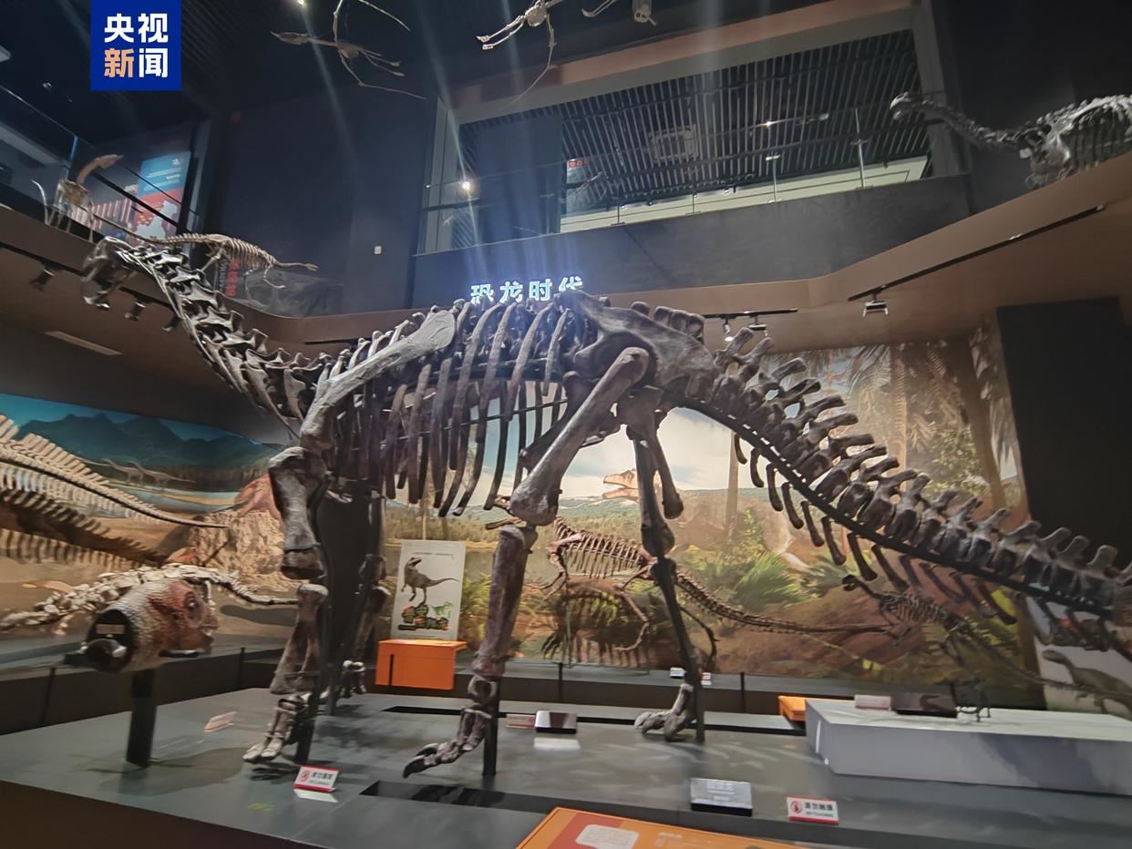 探索“古生物+”模式 重慶古生物研究院掛牌成立_新聞?lì)l道